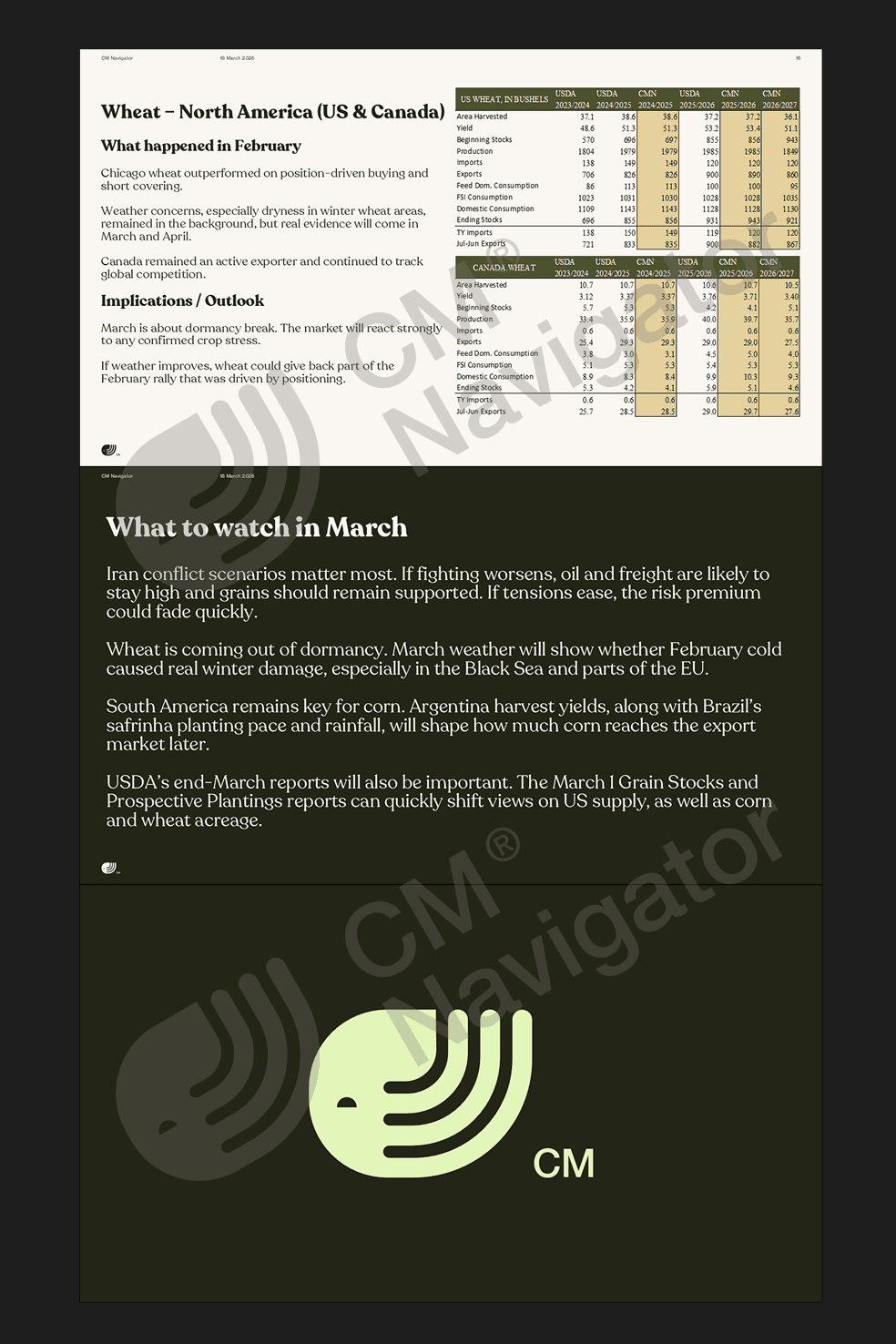 Preview of the CMN Monthly Grains Outlook report with in-depth global grain market analysis covering supply, demand, pricing dynamics and monthly grain market outlook