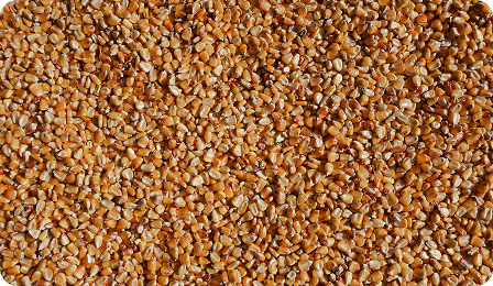 Close-up photo of corn kernels representing corn commodity coverage in the CM Navigator freight matrix for comparing dry bulk sea freight costs across global grain shipping routes