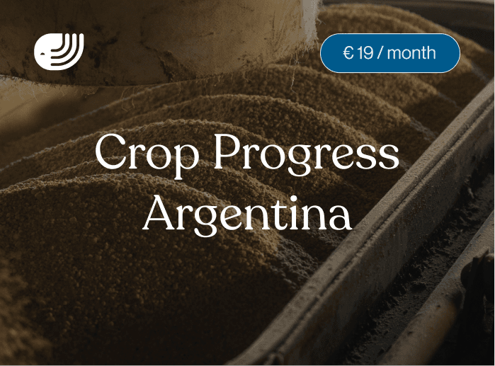 Report card for the CMN Argentina crop progress report covering weekly crop development, regional weather impacts and historical comparisons for Argentina corn and soybean crops