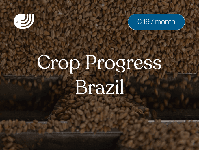 Report card for the CMN Brazil crop progress report covering weekly soybean and corn crop progress, regional weather and CONAB crop condition data