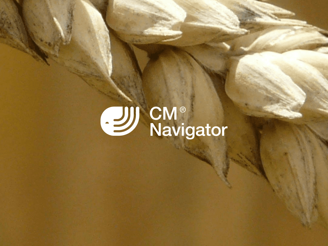 Tractor harvesting wheat in a field