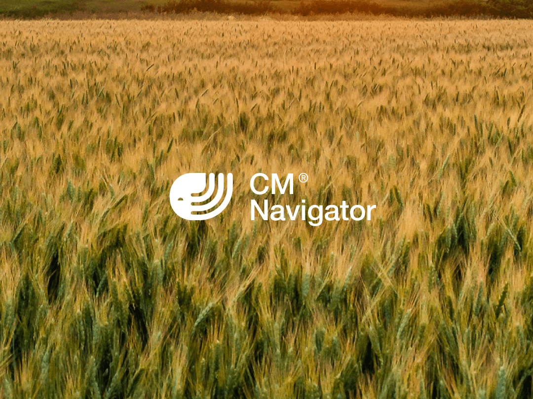 Grain field 