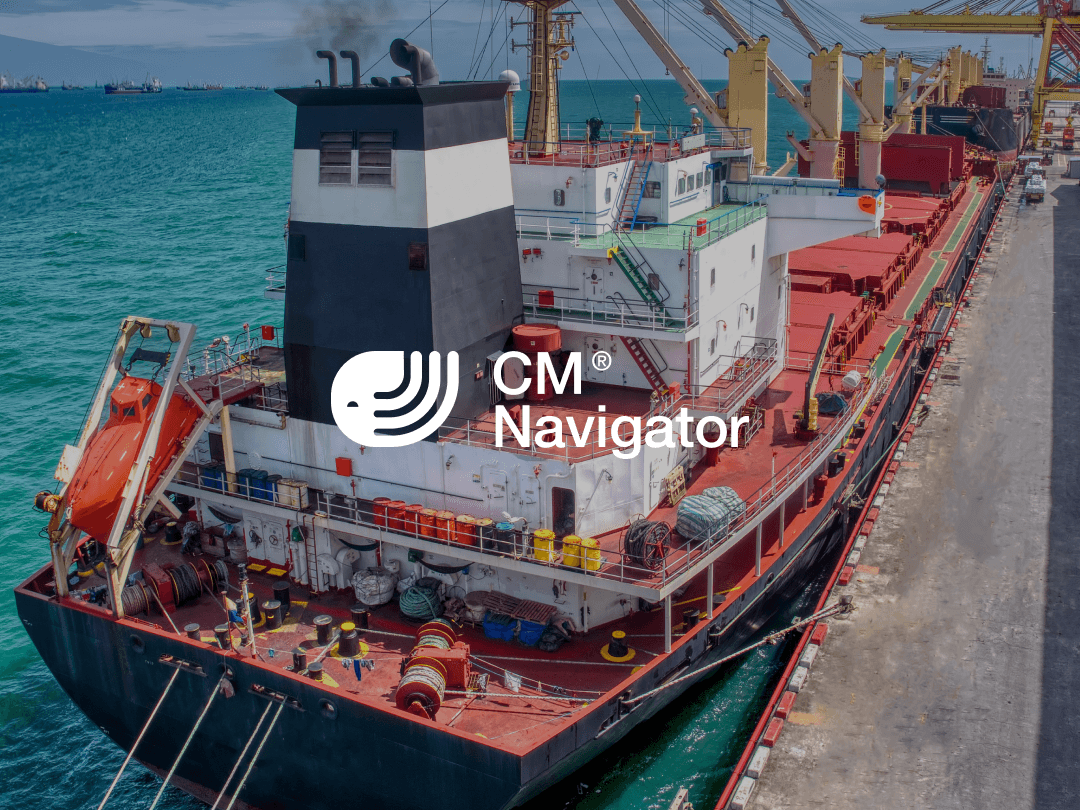 Dry bulk carrier 