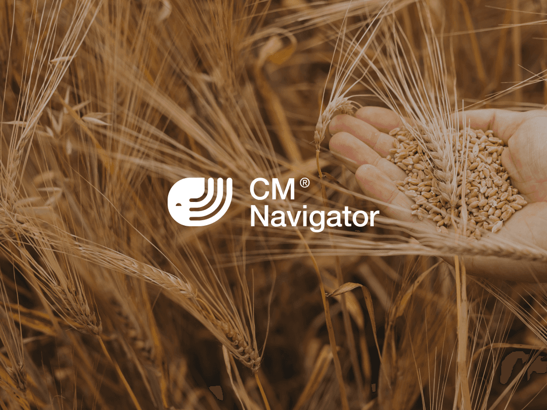 Wheat