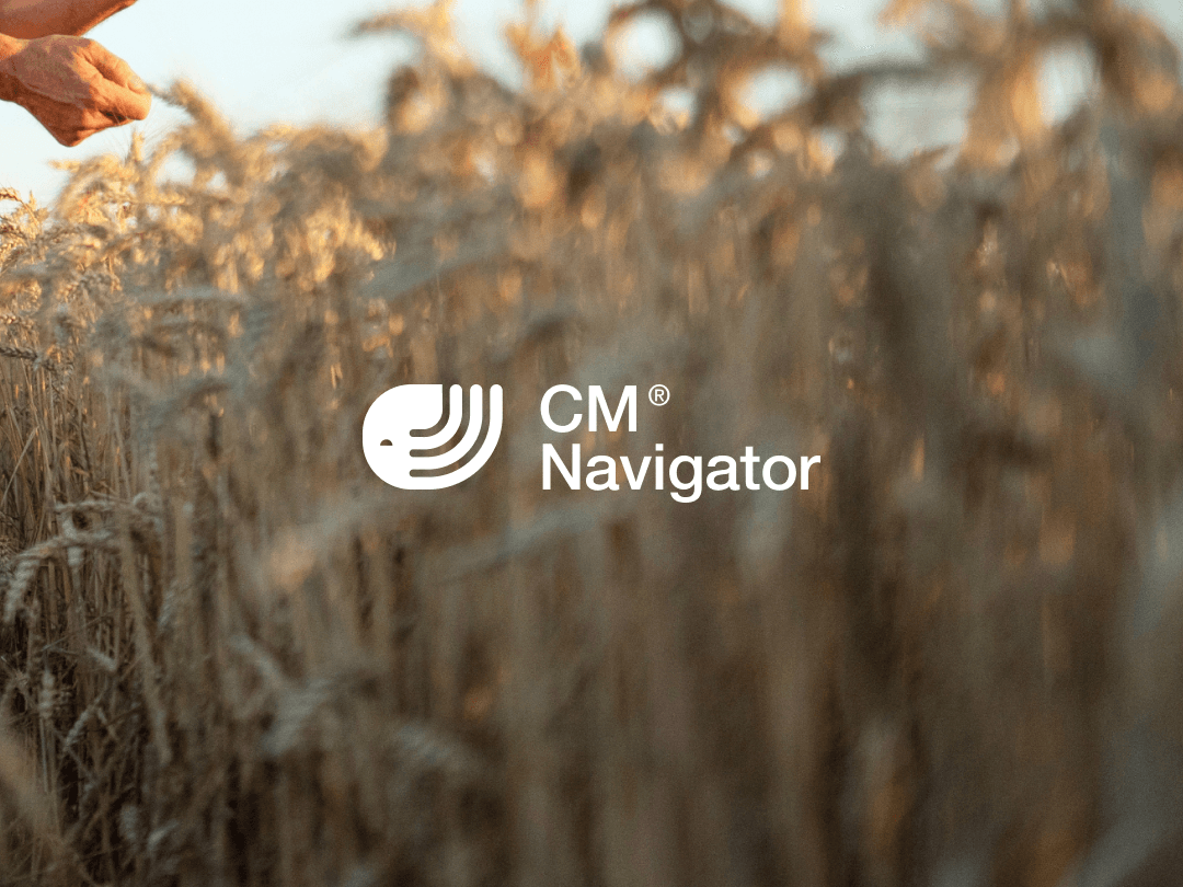 Wheat 