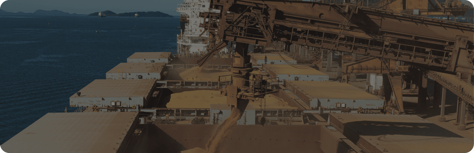 Dry bulk carrier loading grain at a port terminal, with cargo holds open and a ship loader transferring bulk cargo into the vessel.