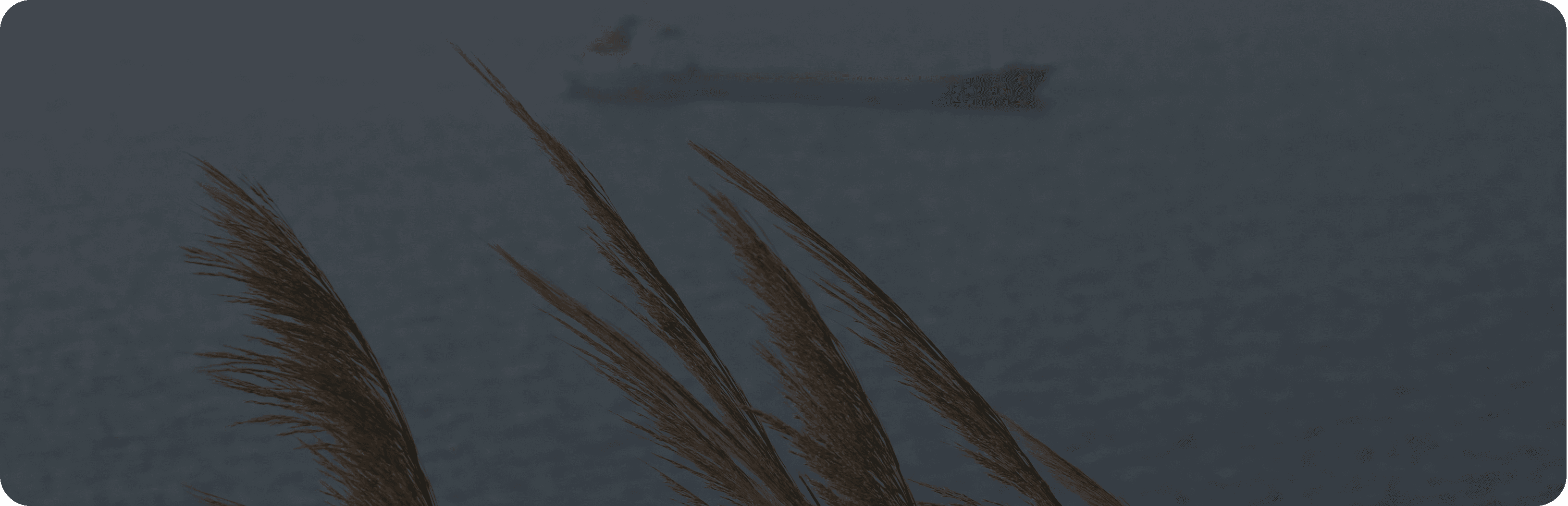 Weekly freight week 26 HERO