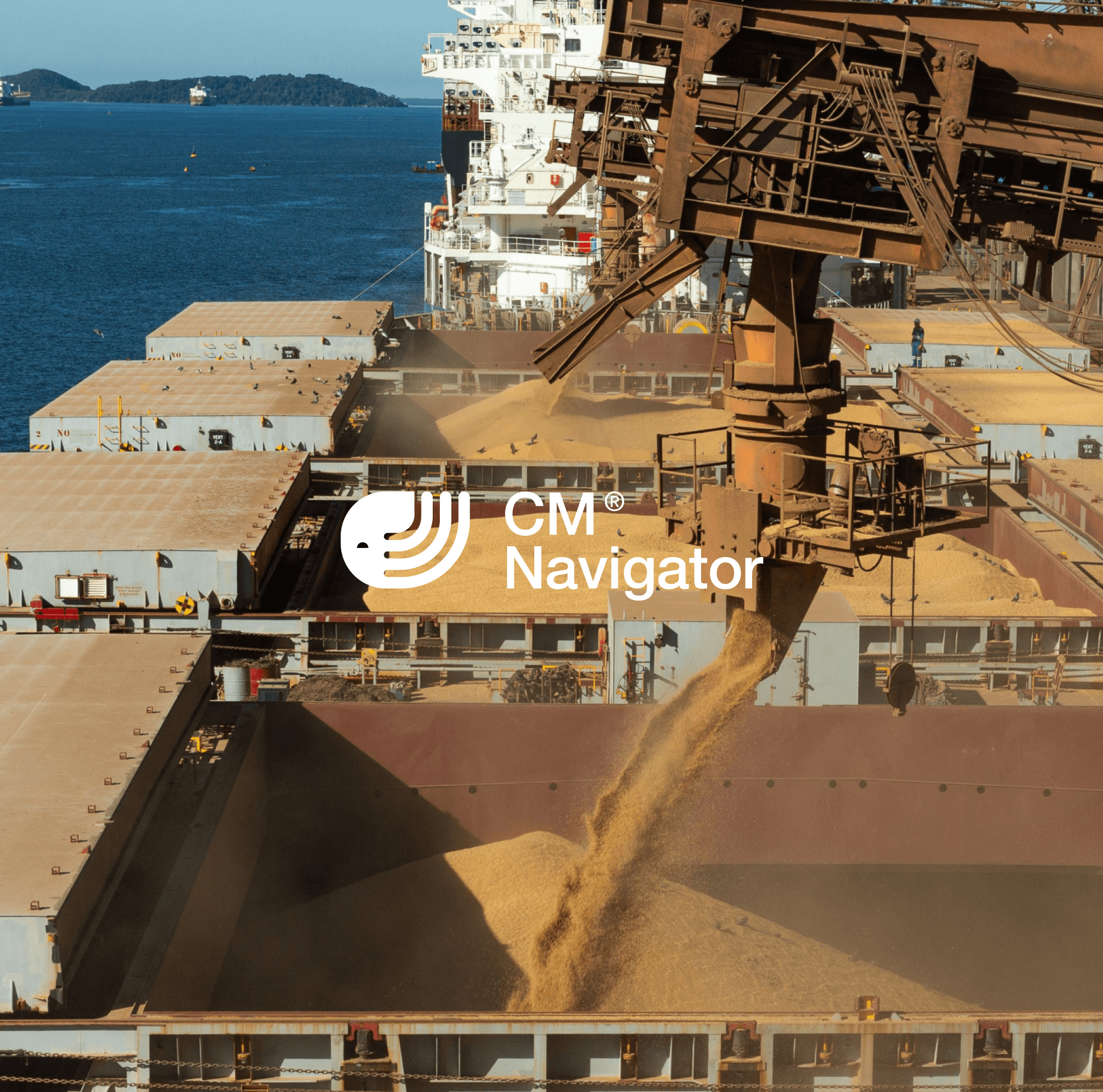 Dry bulk carrier loading grain at a port terminal, with cargo holds open and a ship loader transferring bulk cargo into the vessel.