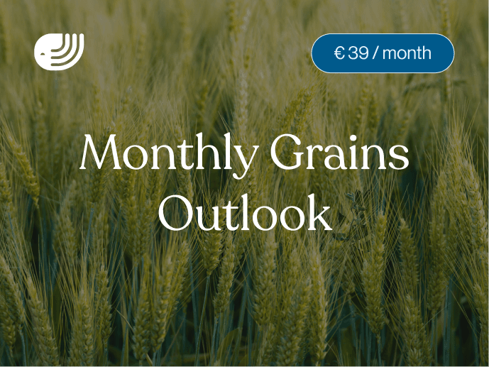 Report card for the CMN Monthly Grains Outlook report with in-depth monthly grain outlook covering supply, demand and pricing dynamics on global grain markets