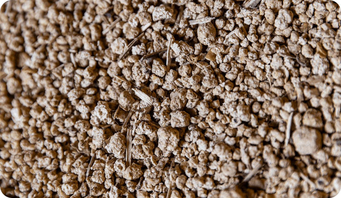 Close-up image of soybean meal representing protein feed supply and demand data coverage on the CM Navigator agricultural commodity market intelligence platform