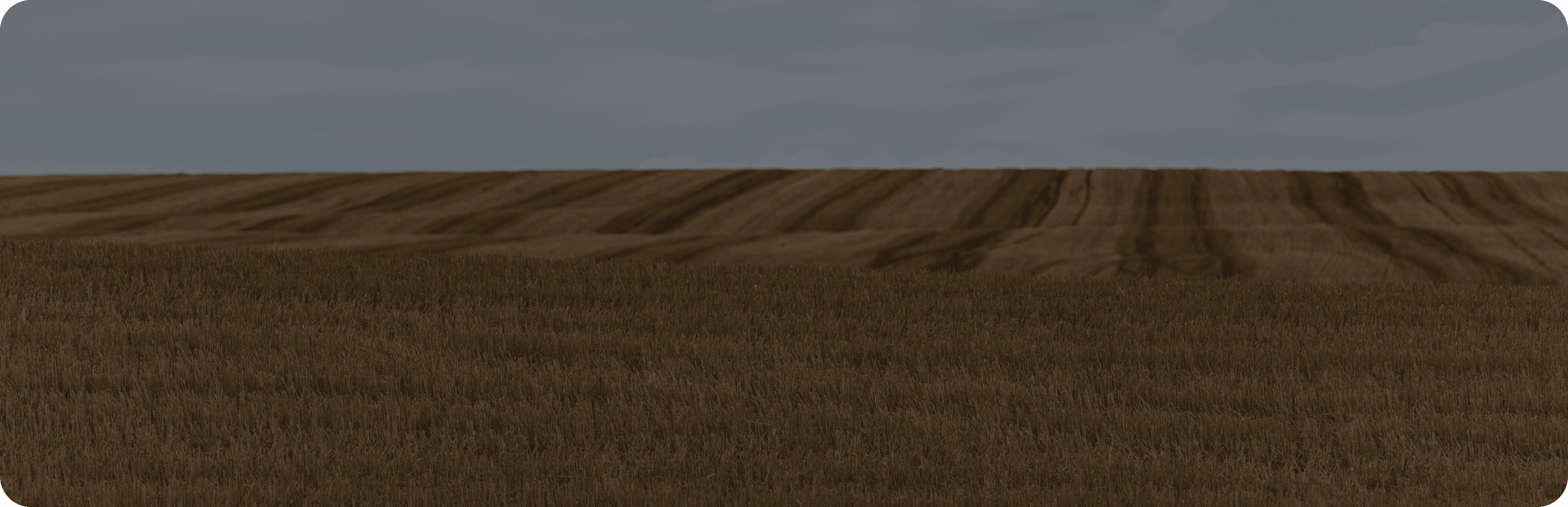 Weekly commodity week 31