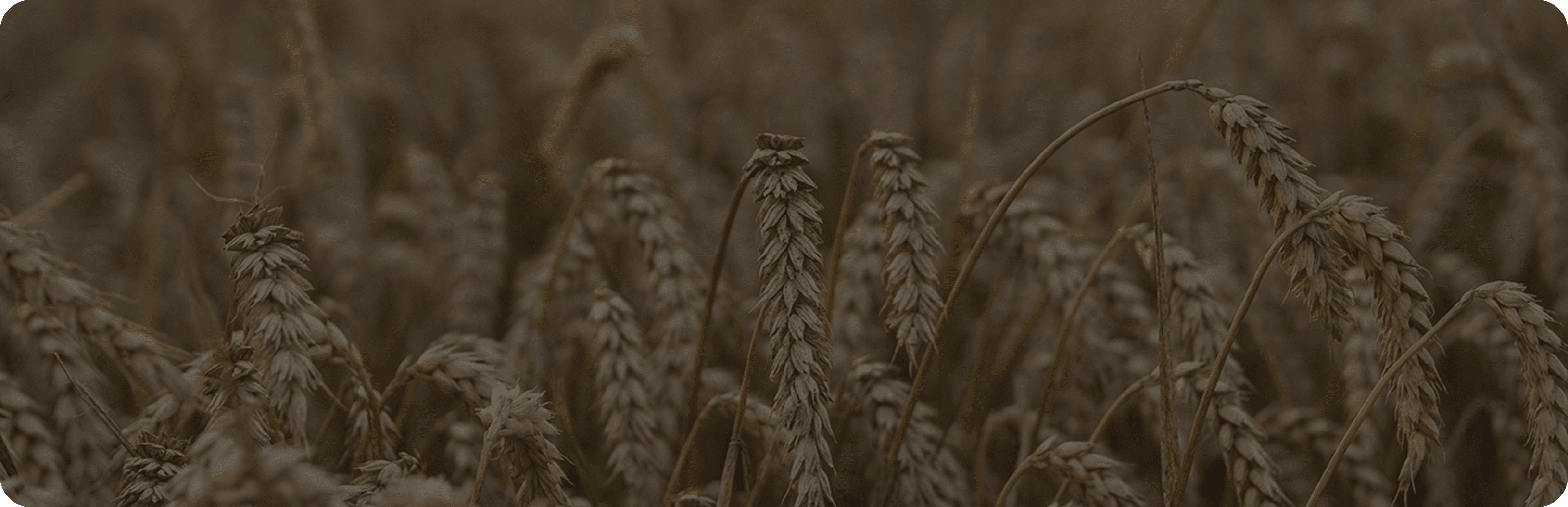 Weekly commodity week 33