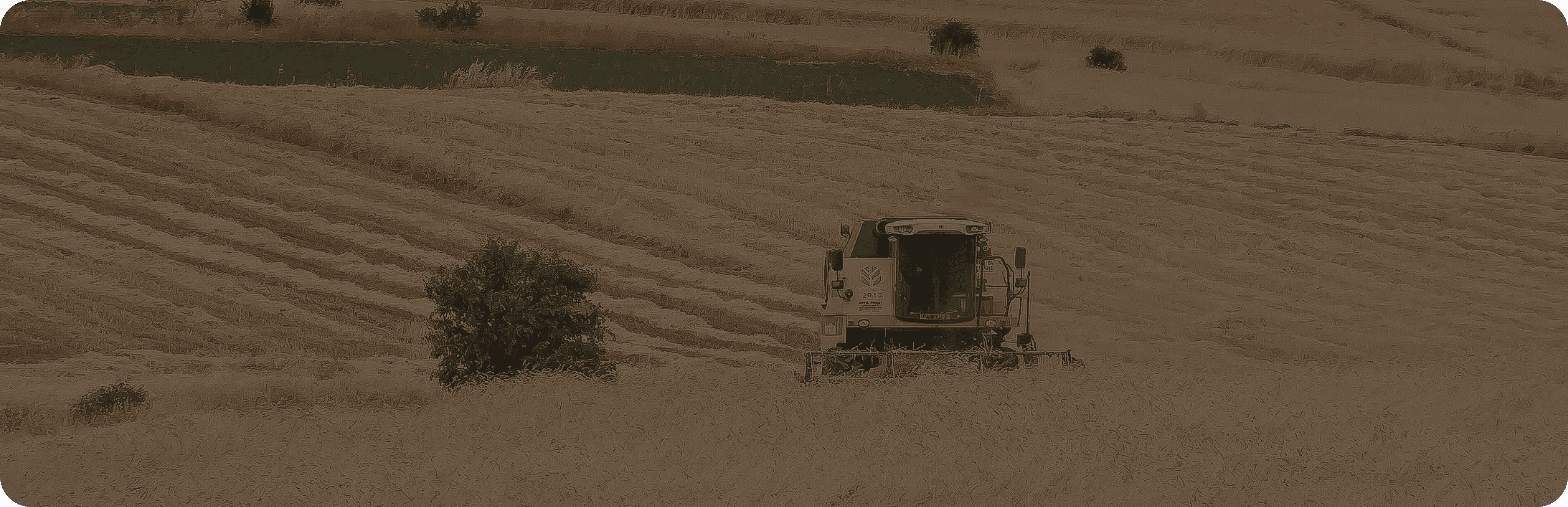 Weekly commodity week 36