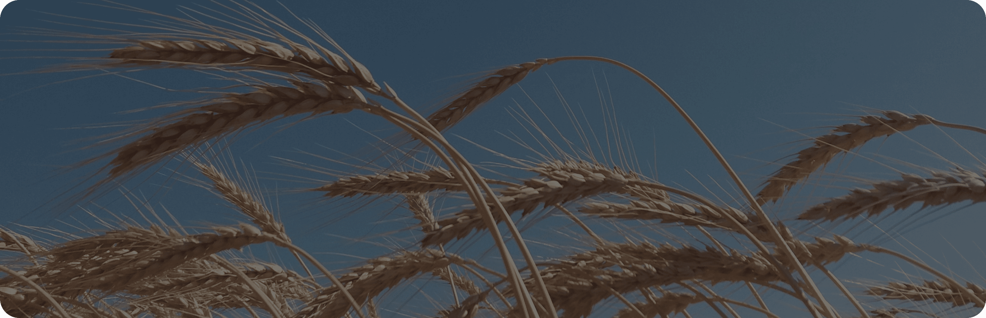 Weekly commodity week 39