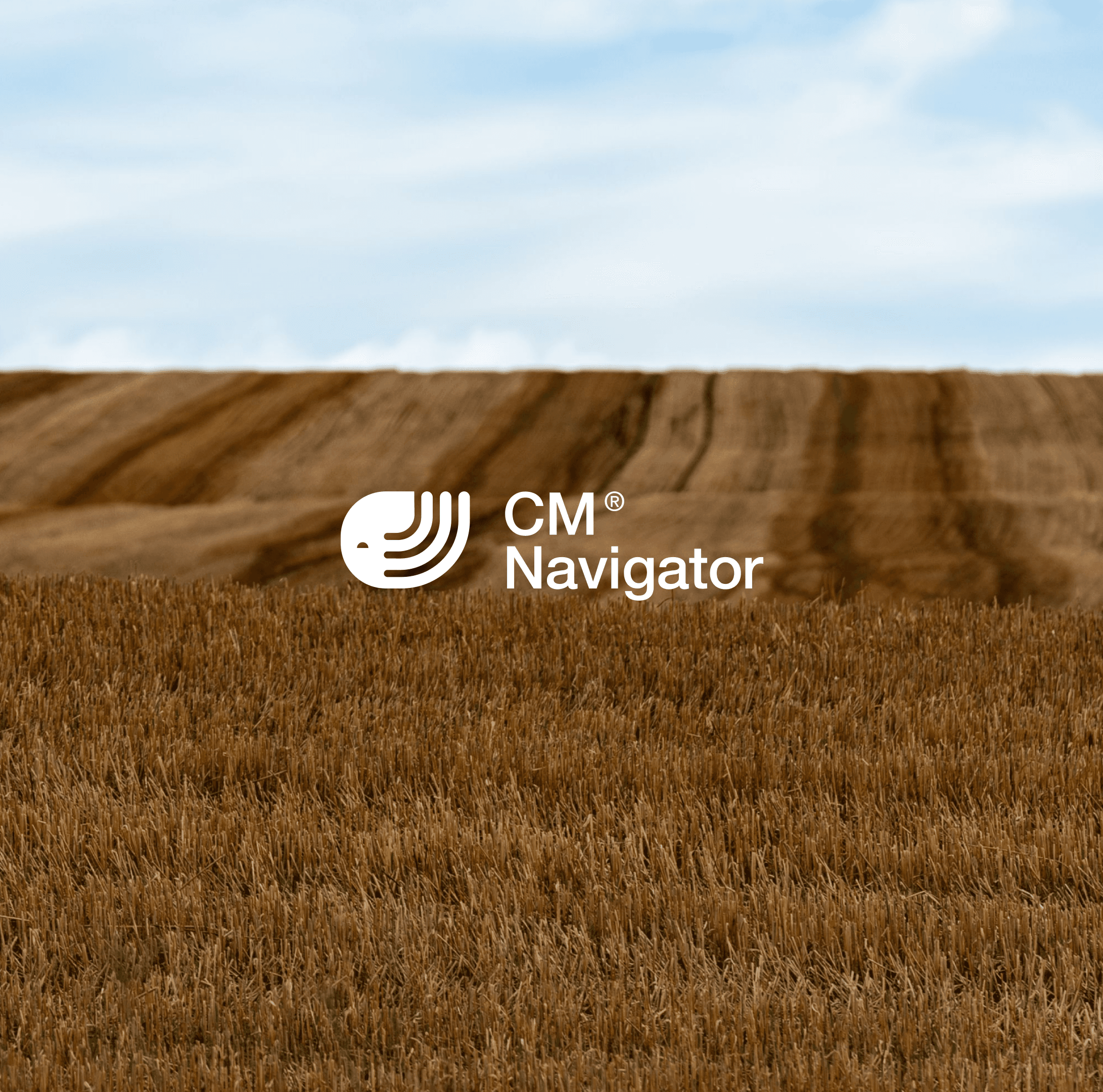Weekly commodity week 31
