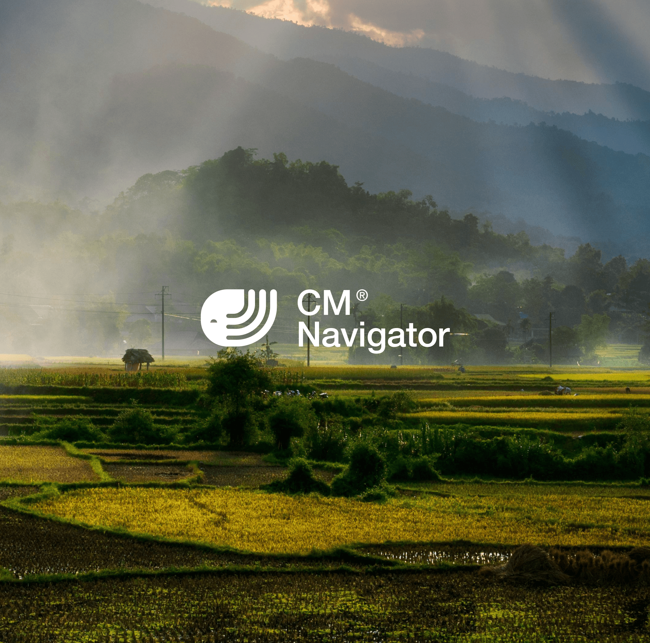 Weekly commodity week 35