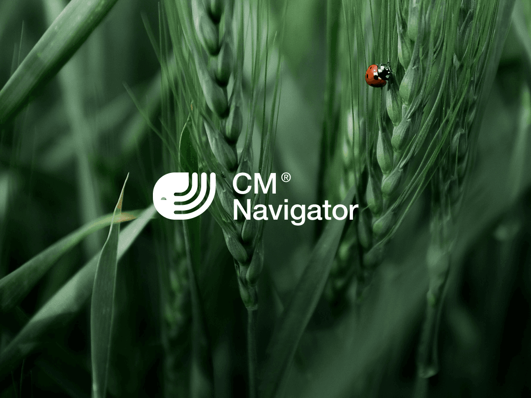 Wheat (5)