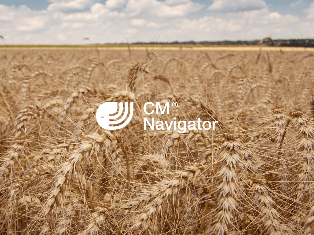 Wheat field