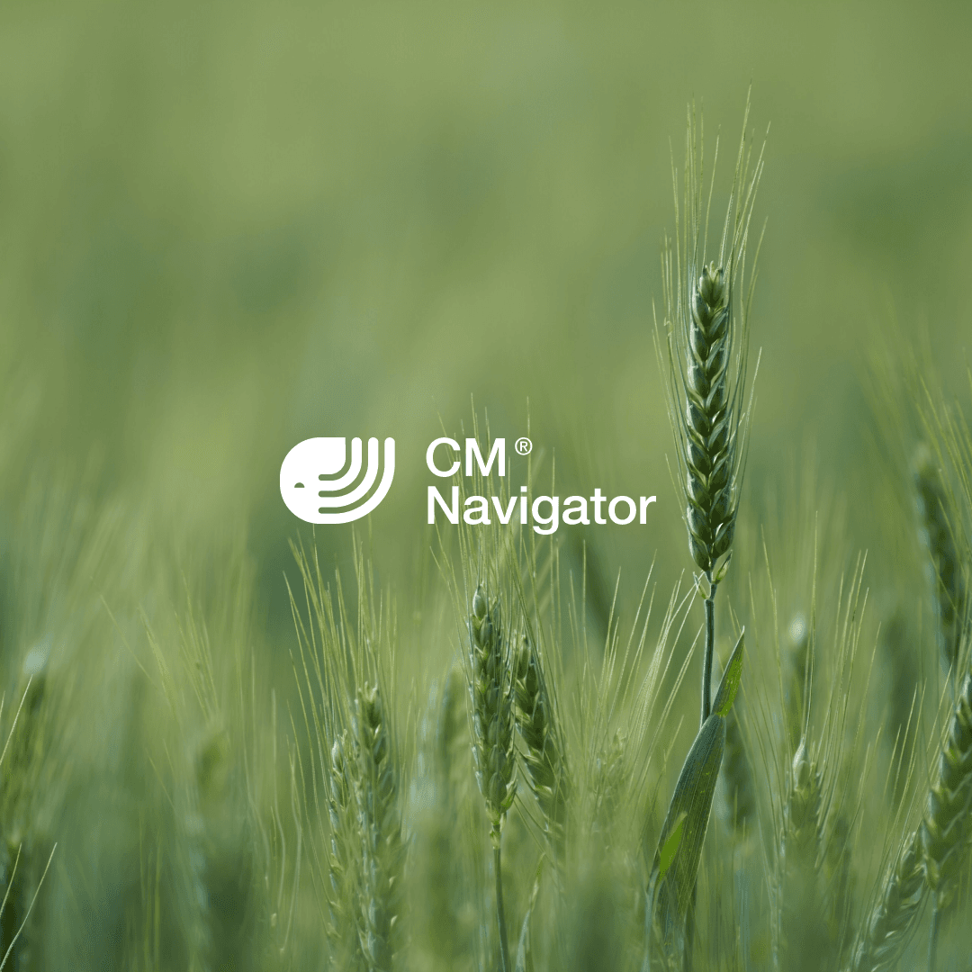 Wheat field