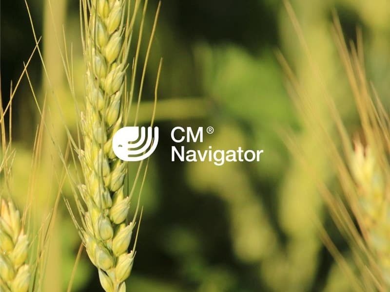grain-