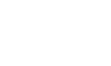 Nibulon logo 