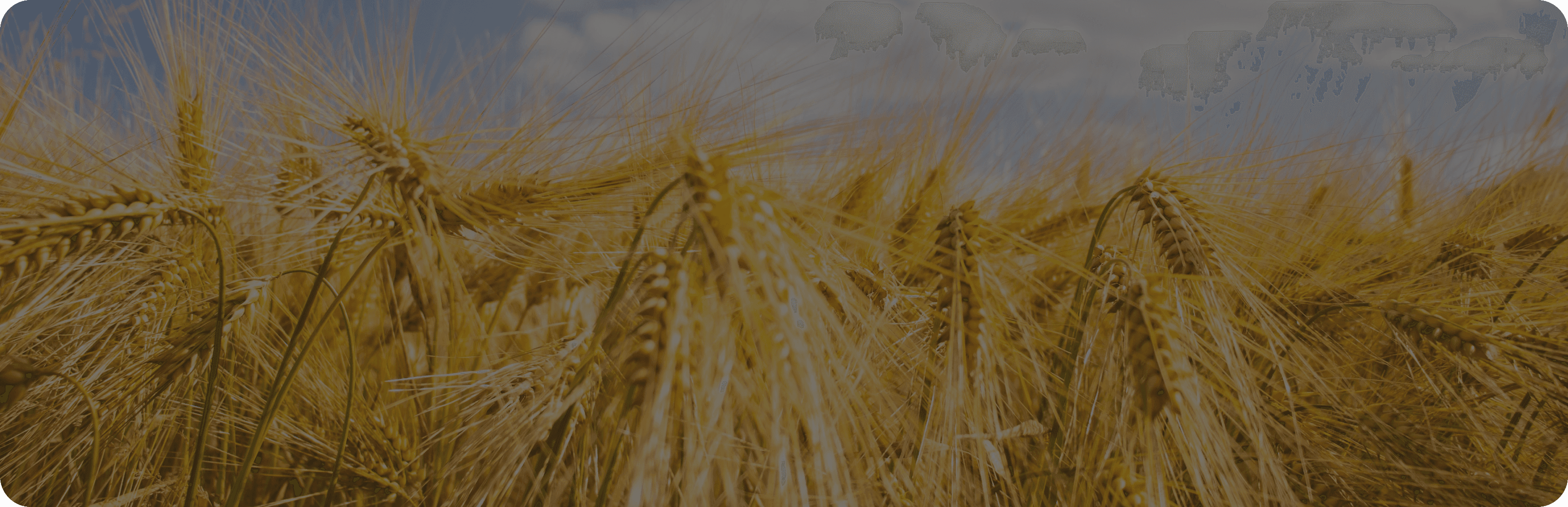 Weekly commodity week 29