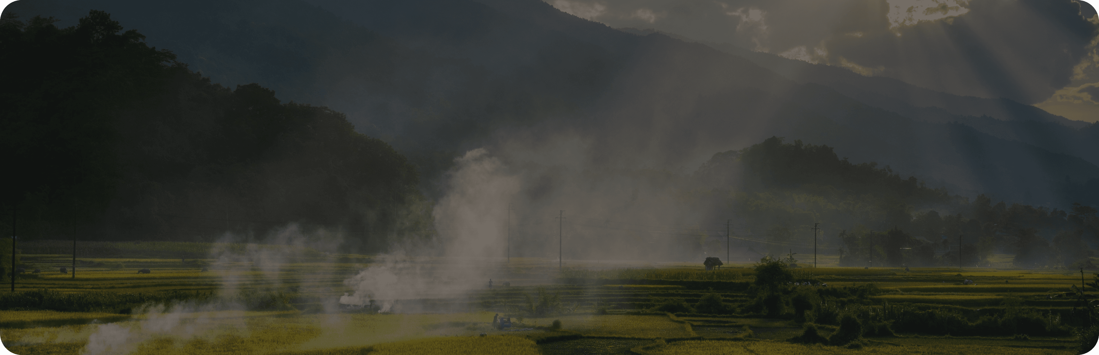 Weekly commodity week 35