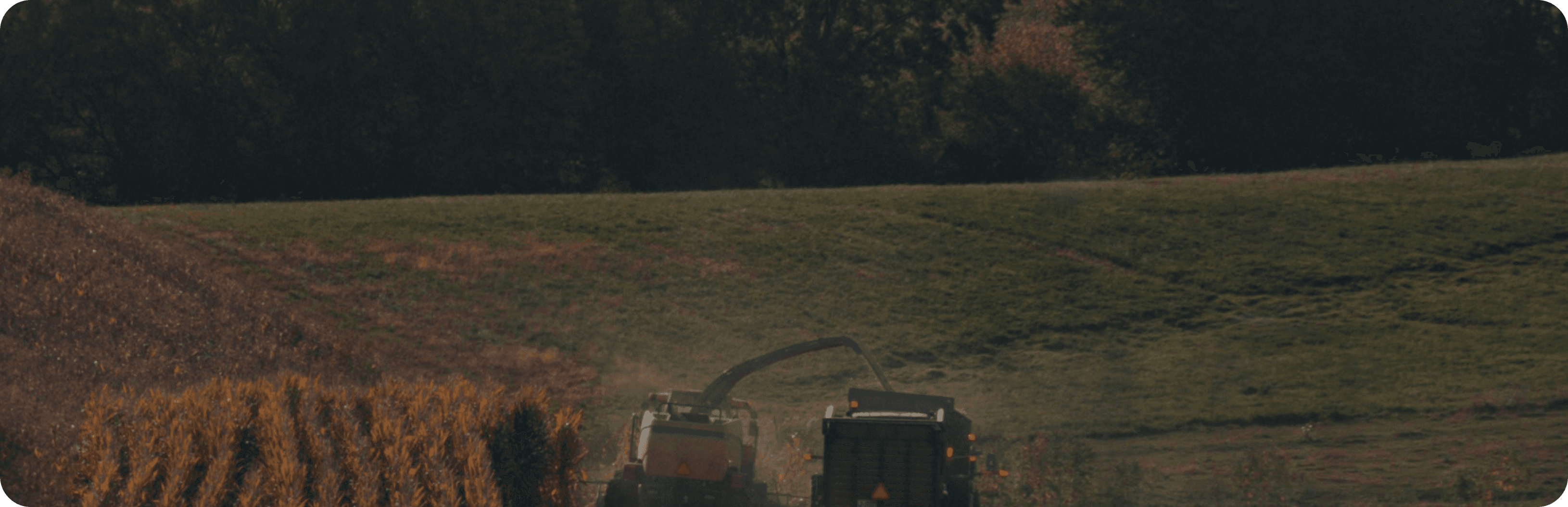 Weekly commodity week 41