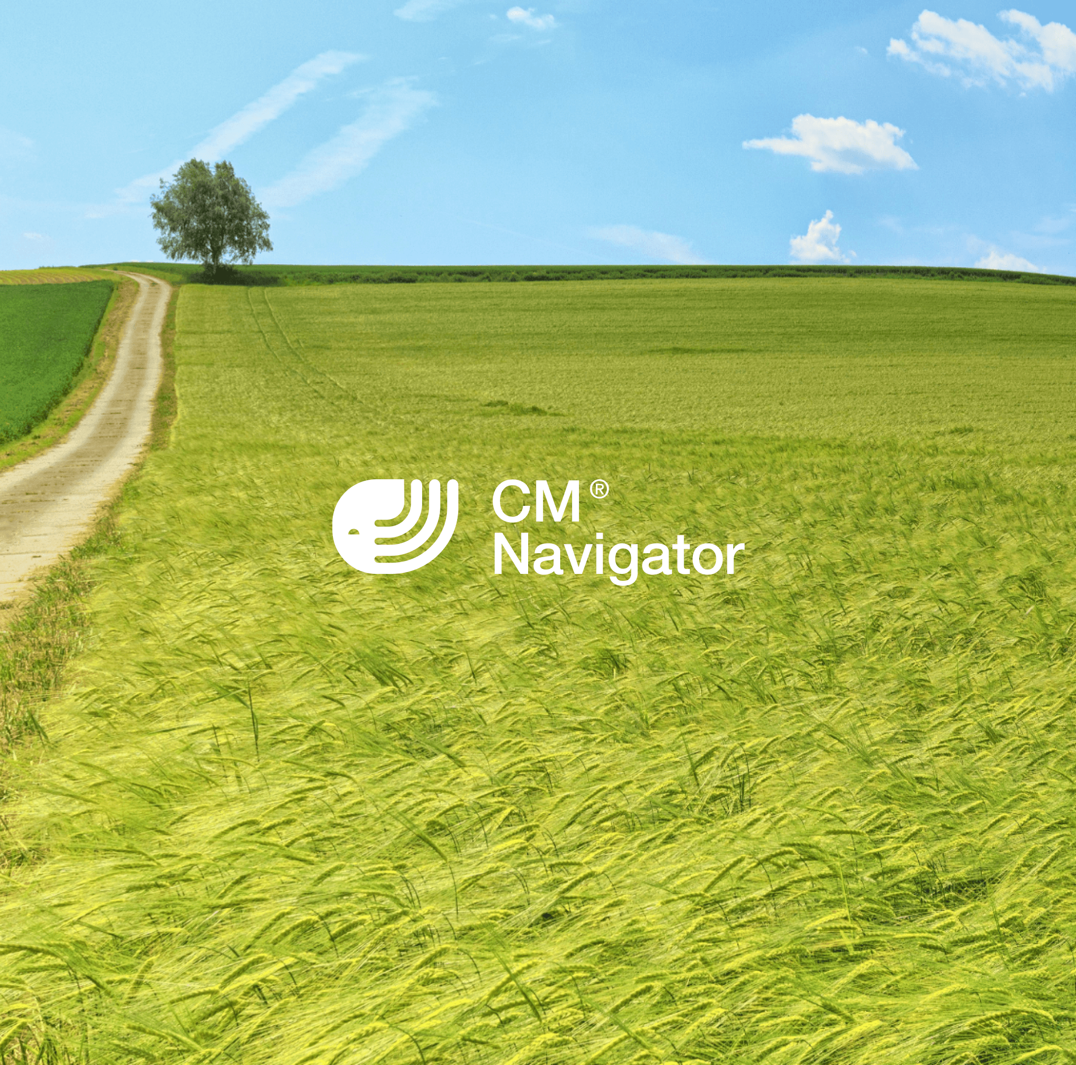 Weekly commodity week 37